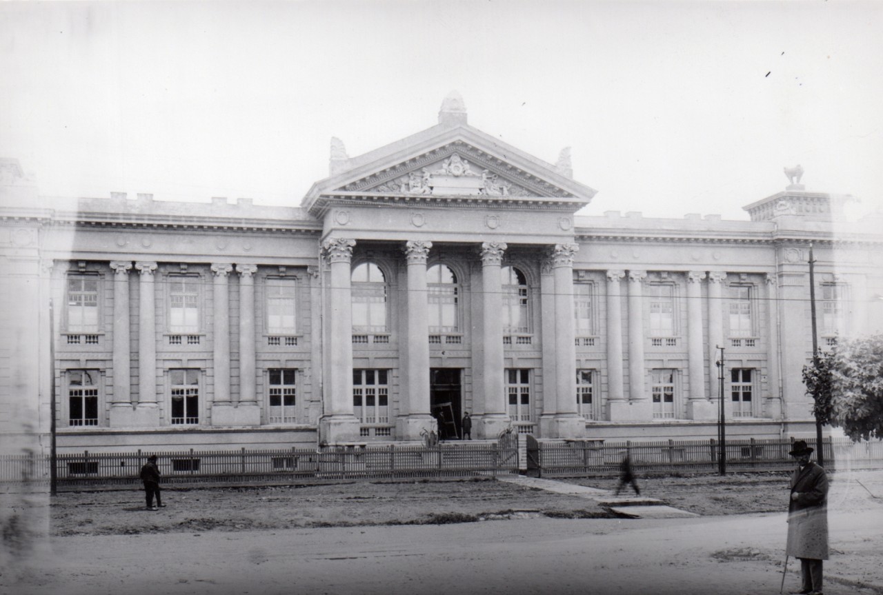 Univerzitetska biblioteka na početku karijere